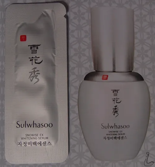 33082 snowise ex application