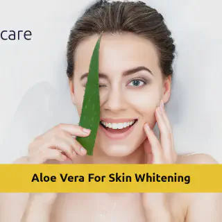 /img/33134-aloe-vera-antioxidants.webp