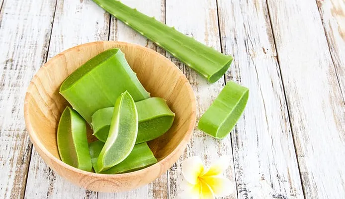 33134 aloe vera sunburn