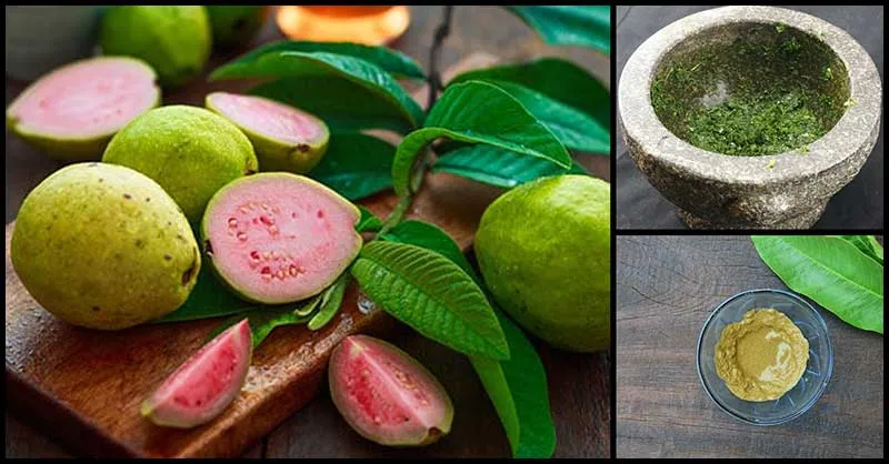 33223 antioxidant rich foods