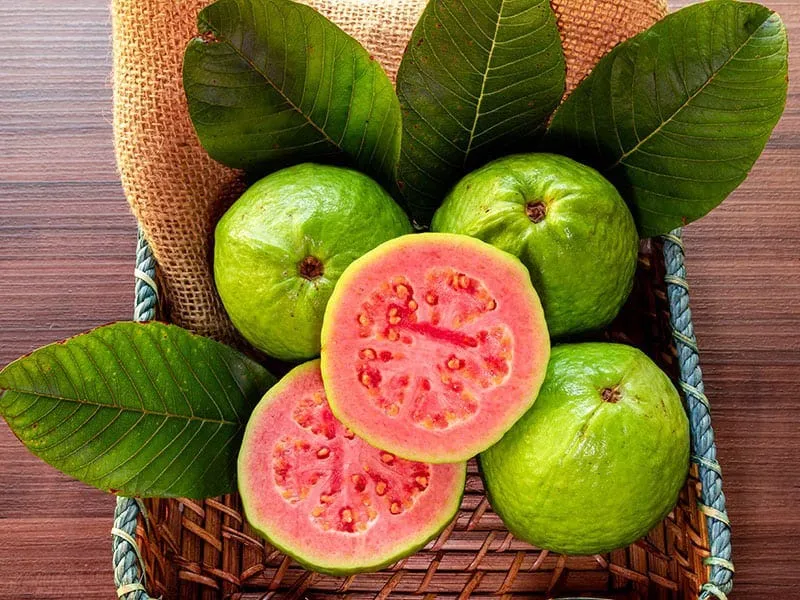 33223 guava face mask