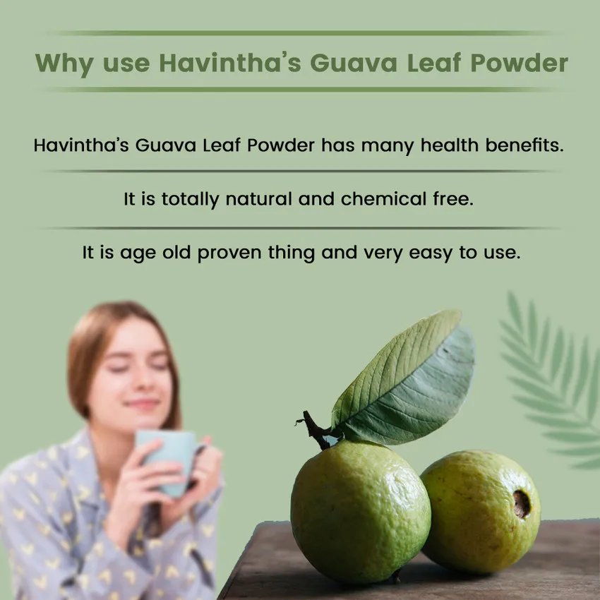 33223 guava fruit
