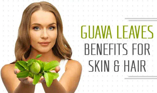 /img/33223-guava-scrub.webp
