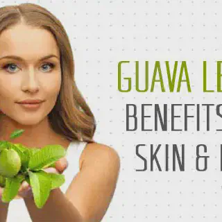 /img/33223-guava-scrub.webp
